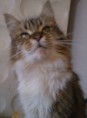 /album/lukrecia/a304174-363261537104372-1695310596-n-jpg/