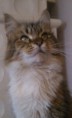 /album/lukrecia/a484665-363261377104388-1789886109-n-jpg1/