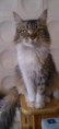 /album/lukrecia/a484816-363261097104416-1352766848-n-jpg1/